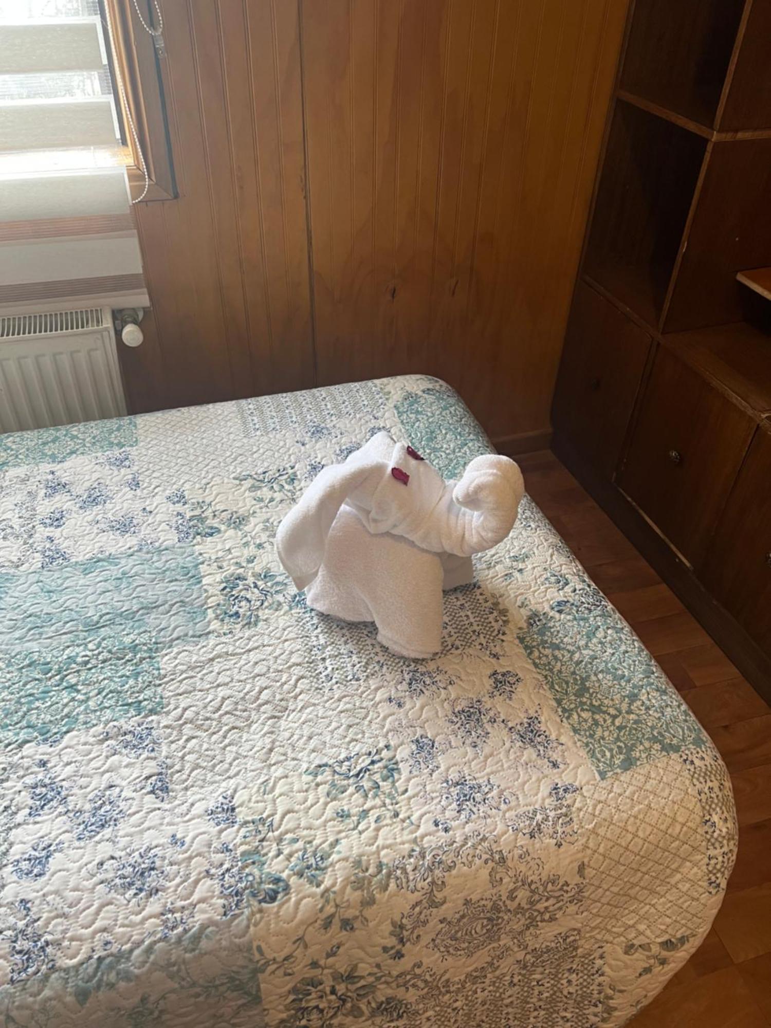 Hostal Victoria Punta Arenas Kültér fotó